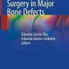 Acetabular Revision Surgery in Major Bone Defects