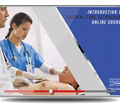 GULFCOAST Introduction to Critical Care Ultrasound 2020 (CME VIDEOS)