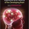 Environmental Experience and Plasticity of the Developing Brain 1st Edition