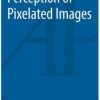 Perception of Pixelated Images