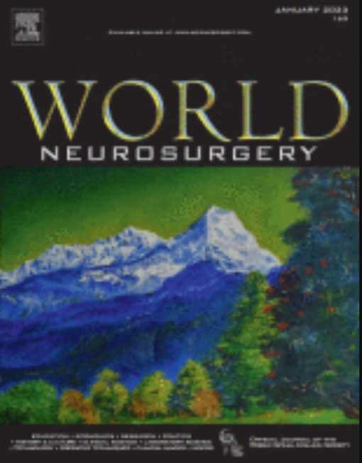 World Neurosurgery PDF - Image 16
