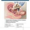 American Family Physician: Volume 102 (Issue 1 to Issue 12) 2020 PDF
