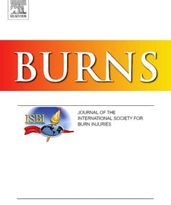 Burns PDF