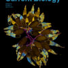 Current Biology: Volume 34 (Issue 1 to Issue 7) 2024 PDF