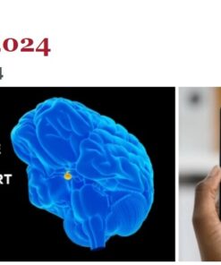 Harvard Clinical Endocrinology 2024 (Videos + Slides)