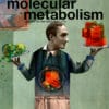 Molecular Metabolism PDF