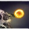 The Lancet Microbe PDF