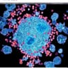 The Lancet Microbe PDF