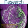 Circulation Research: Volume 130 (1 - 12) 2022 PDF