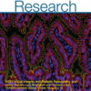 Circulation Research: Volume 133 (1 - 12) 2023 PDF