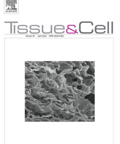 Tissue and Cell PDF