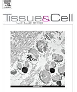 Tissue and Cell PDF