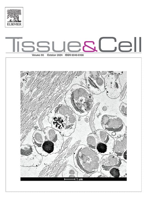 Tissue and Cell PDF