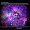 University of Miami Neurology Update and Stroke Intensive Review 2023