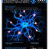 University of Miami Neurology Update and Stroke Intensive Review 2024