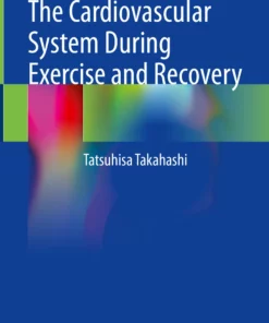 The Cardiovascular System During Exercise and Recovery: