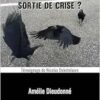 B22, sortie de crise ?: Témoignage de Nicolas Deketelaere (French Edition) (EPUB)