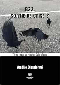 B22, sortie de crise ?: Témoignage de Nicolas Deketelaere (French Edition) (EPUB)