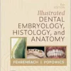 Student Workbook for Illustrated Dental Embryology, Histology and Anatomy, 6th edition (EPUB)