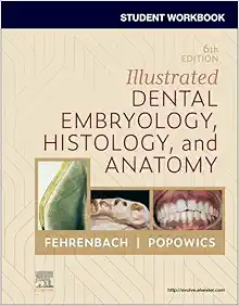 Student Workbook for Illustrated Dental Embryology, Histology and Anatomy, 6th edition (EPUB)