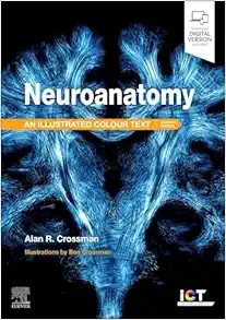 Neuroanatomy: Illustrated Colour Text, 7th Edition (True PDF )