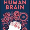 How to Build a Human Brain (PDF)