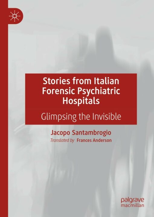 Stories from Italian Forensic Psychiatric Hospitals: Glimpsing the Invisible (EPUB)