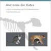 Anatomie der Katze und ihr Verhalten aus der Sicht des Anatomen, eine Textsammlung (PDF)