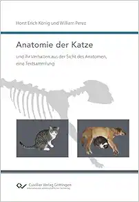Anatomie der Katze und ihr Verhalten aus der Sicht des Anatomen, eine Textsammlung (PDF)