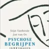Kopzorgen. Psychose begrijpen (EPUB)
