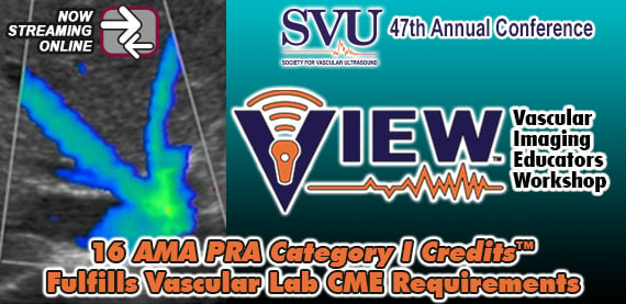 Vascular Imaging Educators Workshop (VIEW) 2025 (Videos)