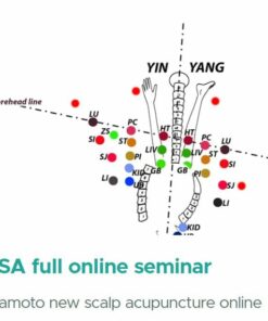 YNSA full online seminar 2024 (Videos + Slides)