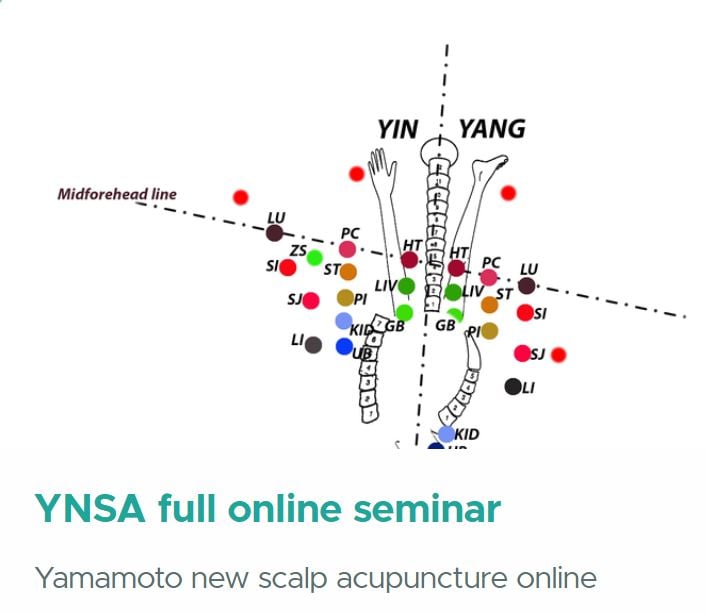 YNSA full online seminar 2024 (Videos + Slides)