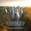 Die Seele der Camargue: Wo Natur und Kultur aufeinandertreffen: Wie Geschichte, Natur und Traditionen das Gesicht einer Region prägen (German Edition) (EPUB)