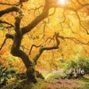 The Tree of Life: An Expose of Physical Regenesis (EPUB)