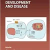 Retinoids in Development and Disease (Volume 161) (Current Topics in Developmental Biology, Volume 161) (PDF)