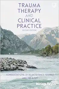 Trauma Therapy and Clinical Practice, 2nd Edition (PDF)