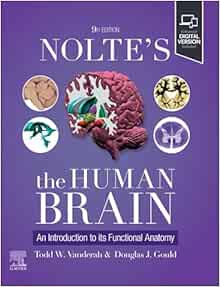 Nolte’s The Human Brain: An Introduction to its Functional Anatomy, 9th Edition (EPUB)
