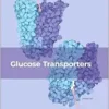 Glucose Transporters (Vitamins and Hormones, Volume 128) (EPUB)