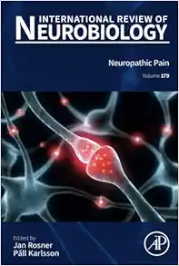 Neuropathic Pain (Volume 179) (International Review of Neurobiology, Volume 179) (EPUB)
