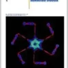 Human Molecular Biology: An Introduction to the Molecular Basis of Health and Disease (PDF)