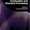 Plasma Assisted Combustion and Chemical Processing (EPUB)