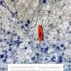 Incommunicable: Toward Communicative Justice in Health and Medicine (PDF)