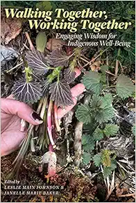 Walking Together, Working Together: Engaging Wisdom for Indigenous Well-Being (Patterns of Northern Traditional Healing Series) (EPUB)