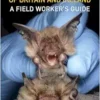 Identifying Bats of Britain and Ireland: A Field Worker’s Guide (EPUB)