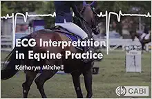 ECG Interpretation in Equine Practice (EPUB)