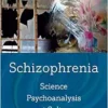 Schizophrenia: Science, Psychoanalysis, and Culture (EPUB)