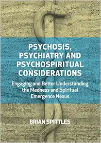Psychosis, Psychiatry and Psychospiritual Considerations (EPUB)