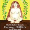 The Herbalist’s Guide to Pregnancy, Childbirth and Beyond (EPUB)