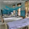 The Work of Hospitals: Global Medicine in Local Cultures (PDF)